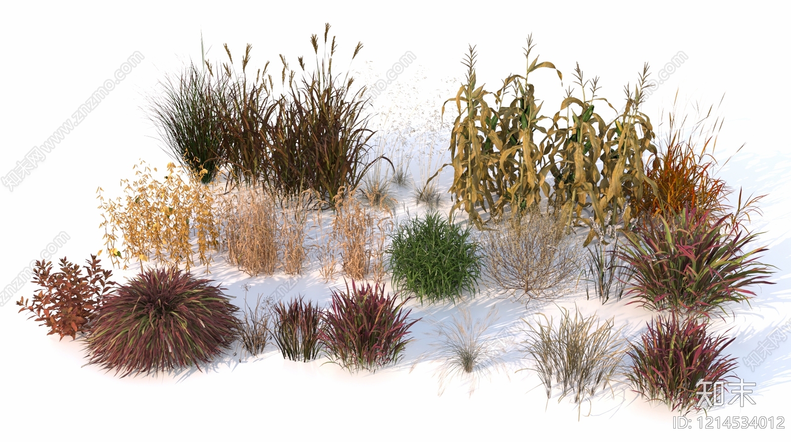 自然野趣风花草组合3D模型下载【ID:1214534012】