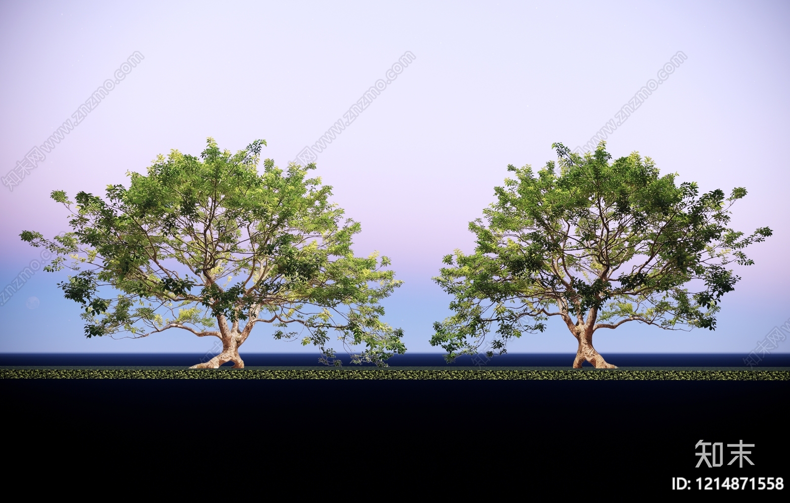极简主义景观乔木SU模型下载【ID:1214871558】