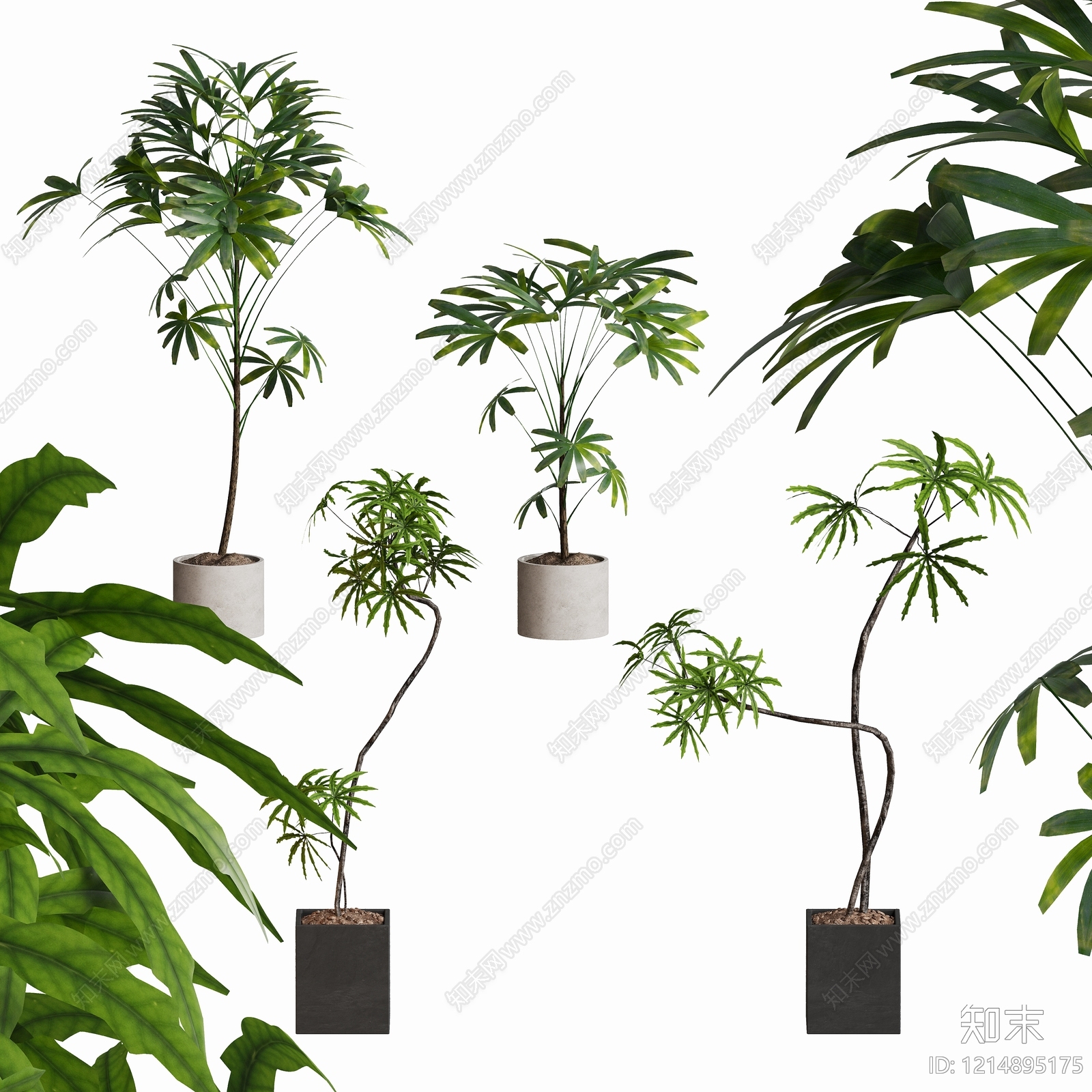 现代简约盆栽3D模型下载【ID:1214895175】