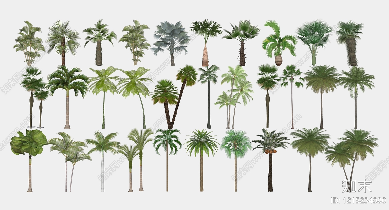 热带植物景观乔木SU模型下载【ID:1215234980】