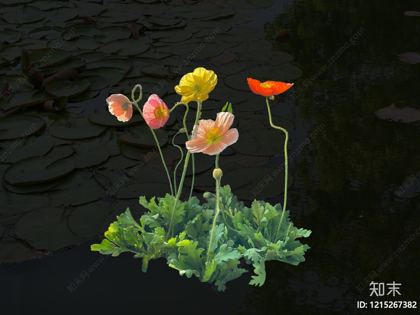 草本花卉设计素材精品下载_知末网