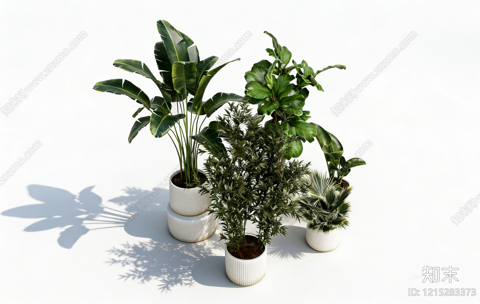 现代简约盆栽SU模型下载【ID:1215283373】