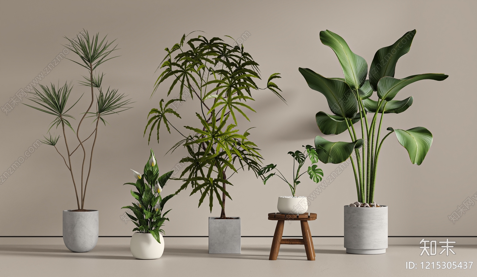 现代简约盆栽SU模型下载【ID:1215305437】