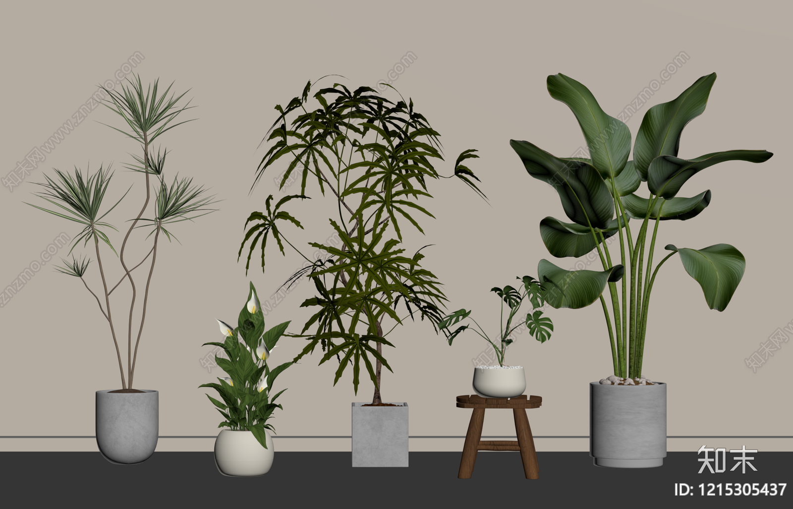 现代简约盆栽SU模型下载【ID:1215305437】