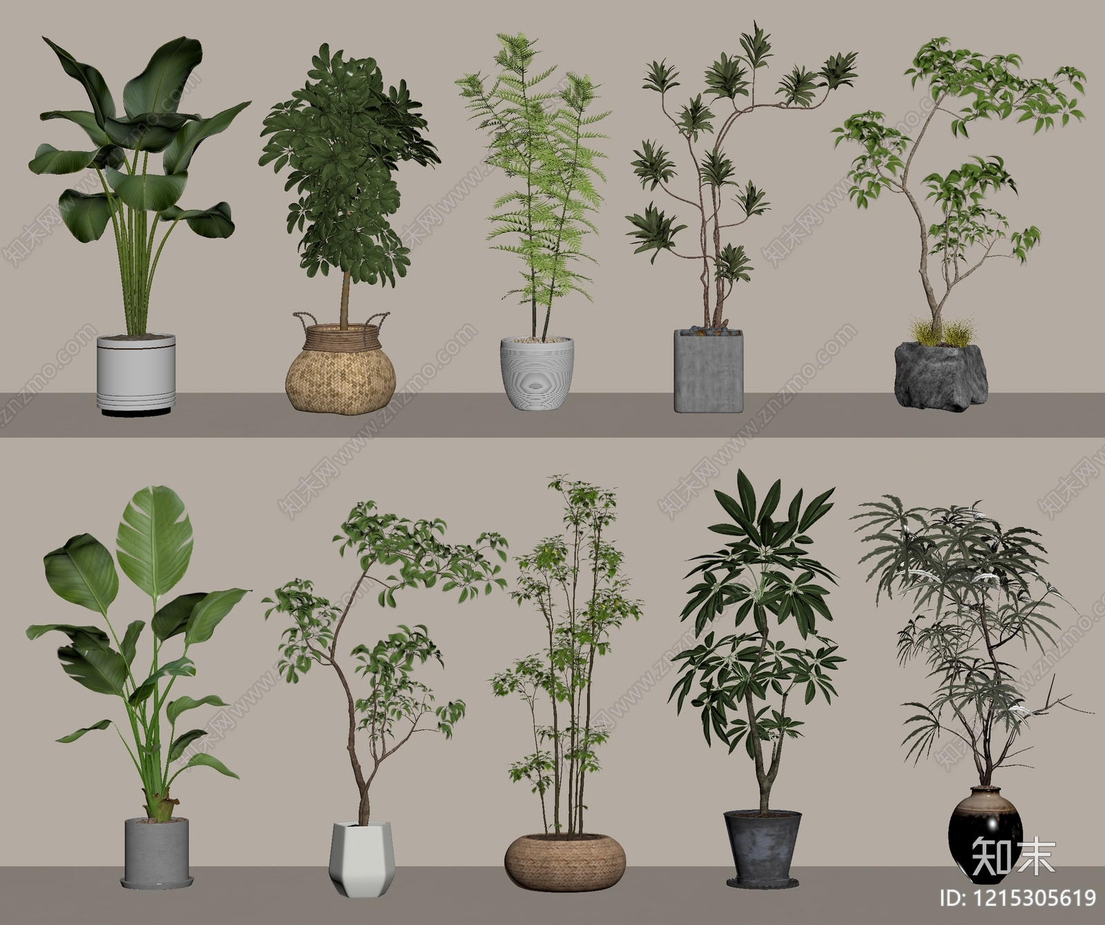 现代简约盆栽SU模型下载【ID:1215305619】
