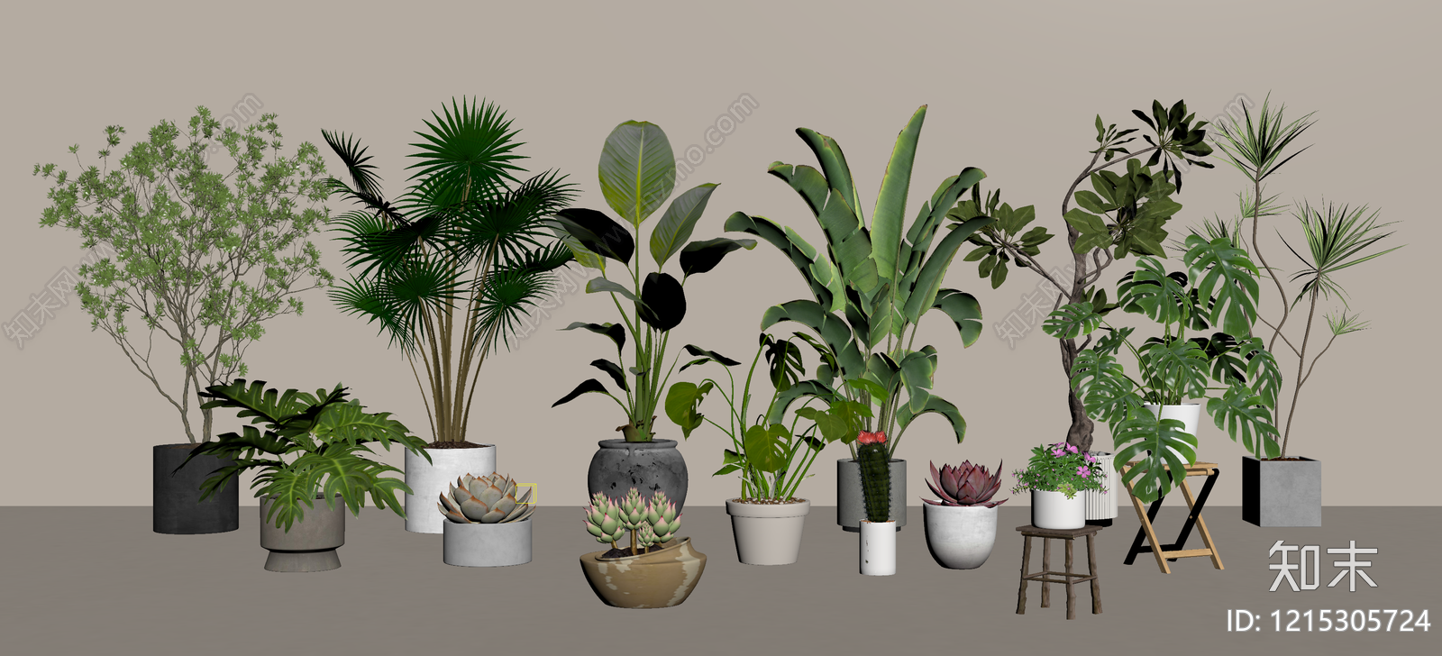 盆栽SU模型下载【ID:1215305724】