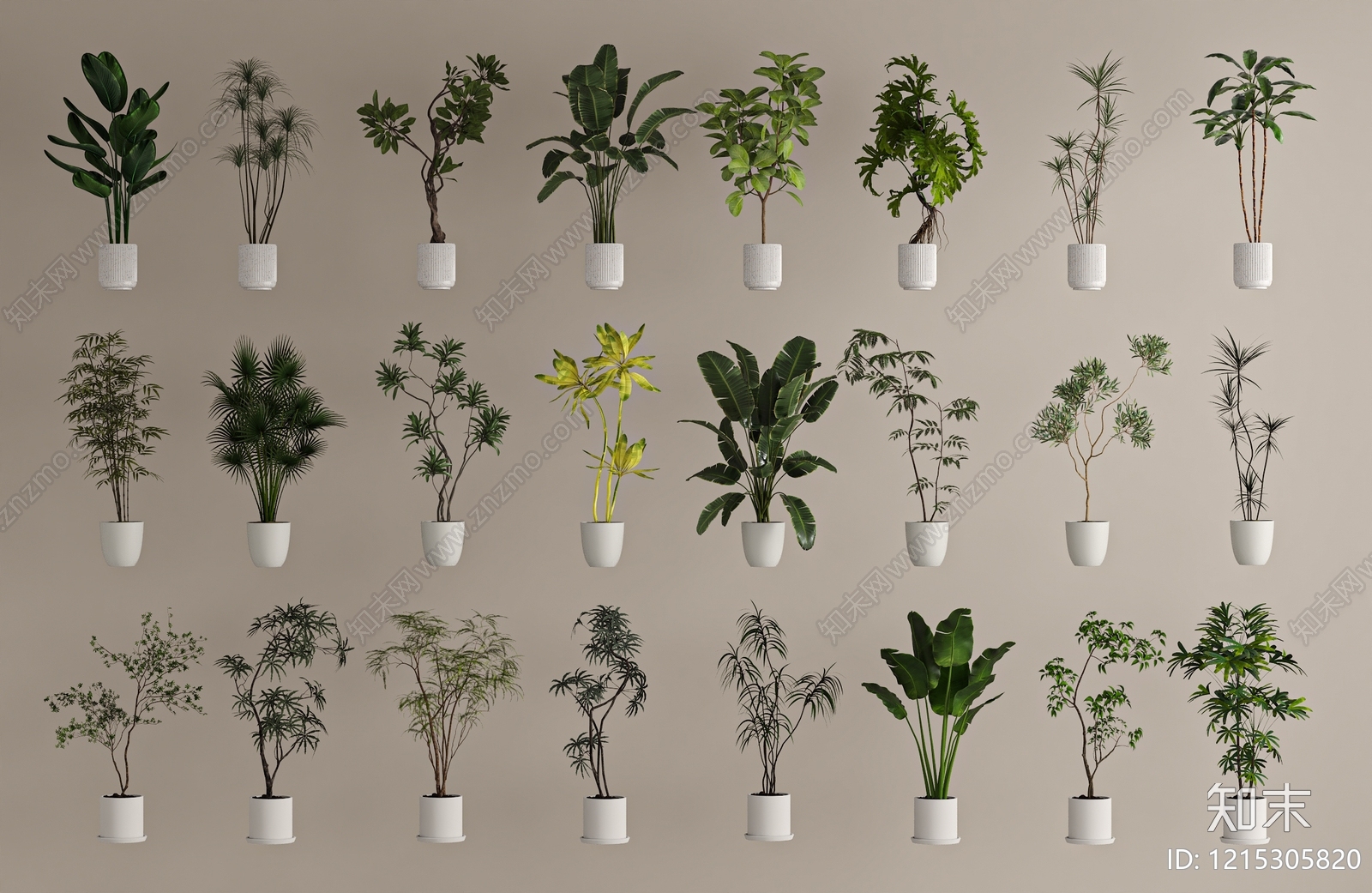 现代简约盆栽3D模型下载【ID:1215305820】