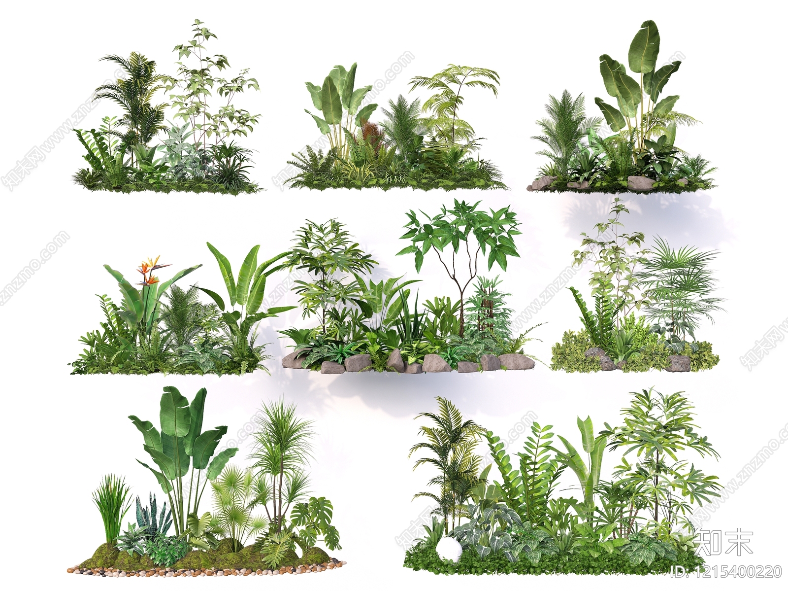 热带植物景观植物组合SU模型下载【ID:1215400220】