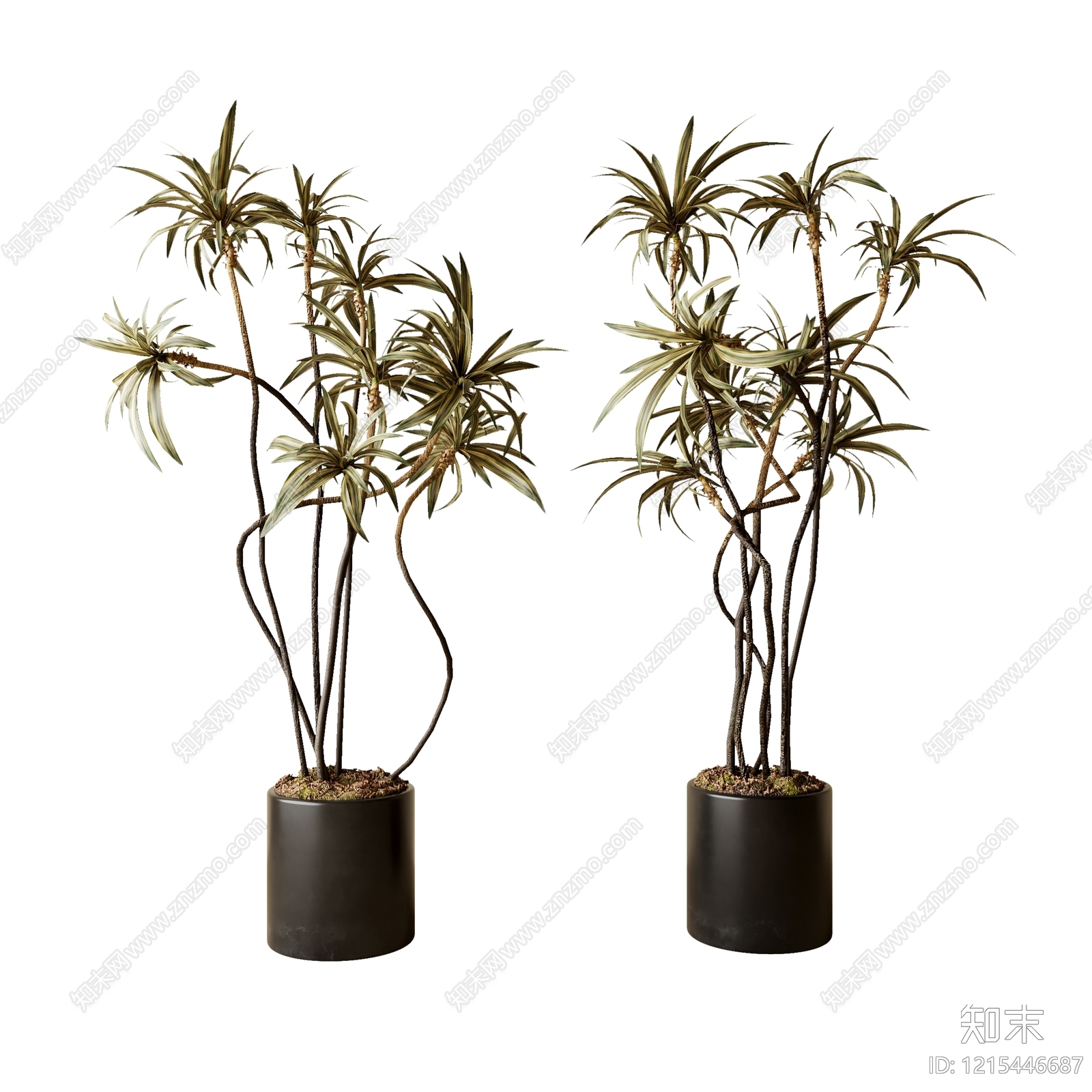 现代简约盆栽3D模型下载【ID:1215446687】