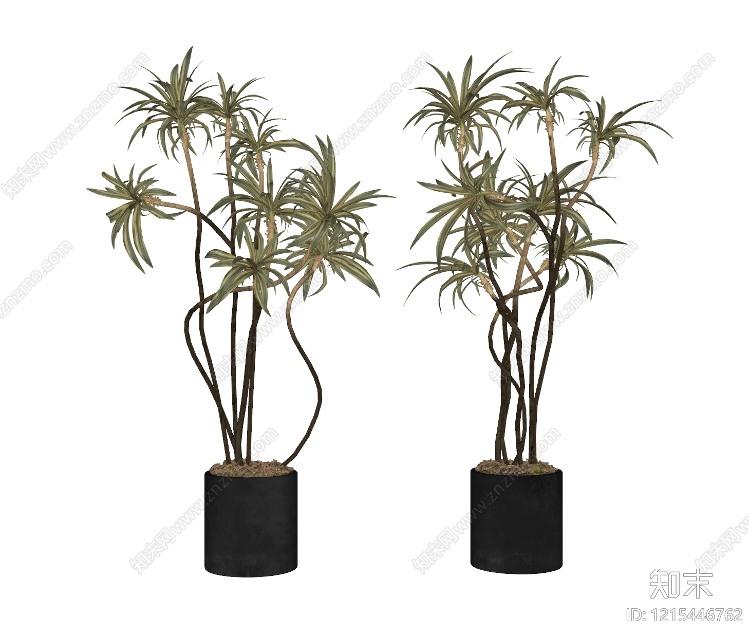 现代简约盆栽SU模型下载【ID:1215446762】