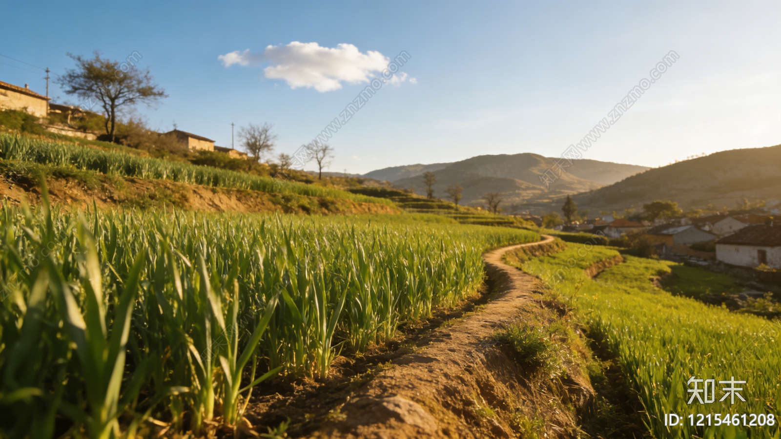 现代农田贴图下载【ID:1215461208】