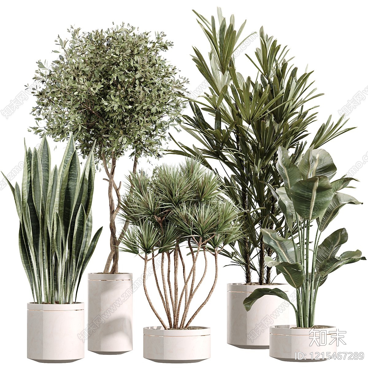 现代简约盆景3D模型下载【ID:1215467289】