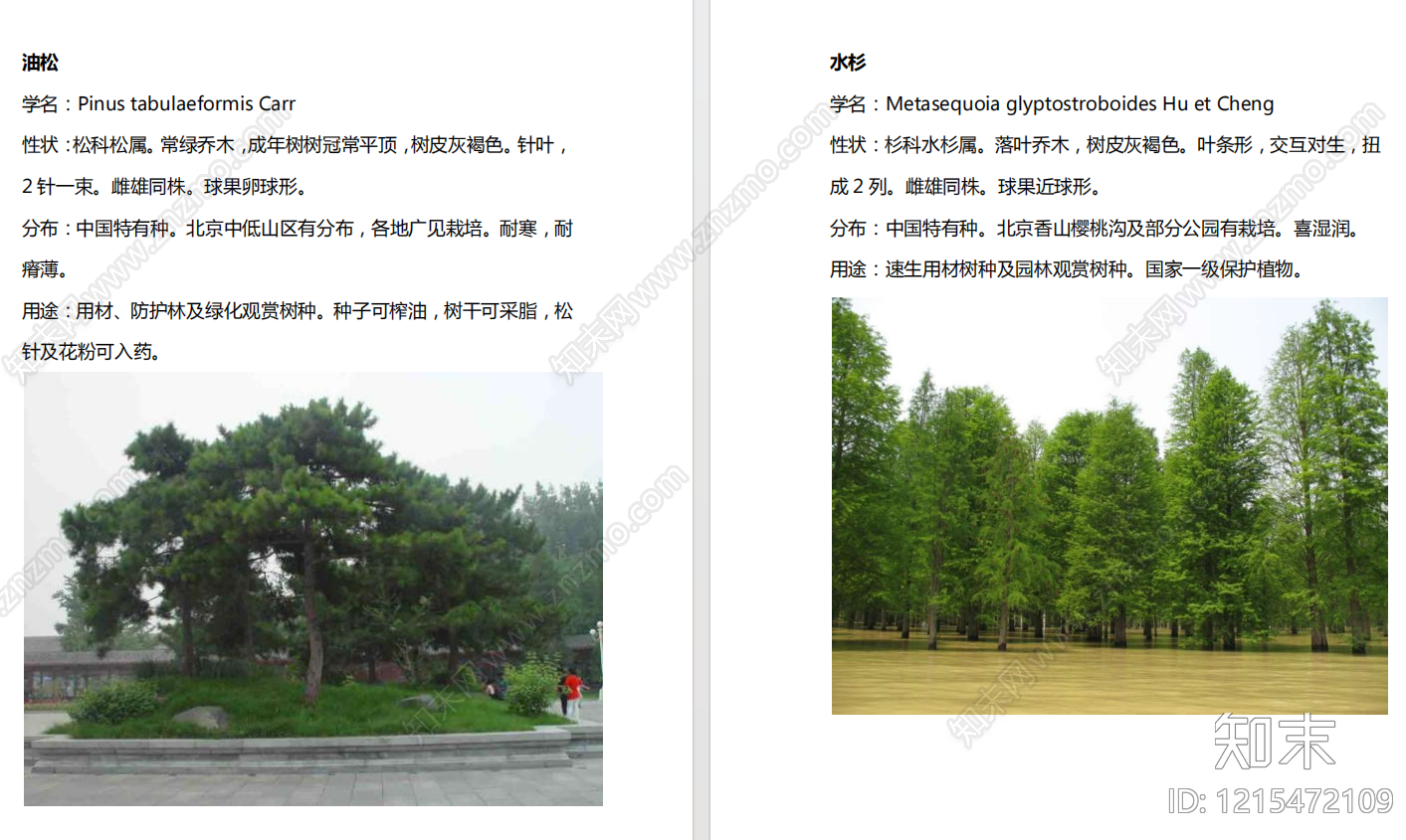 现代其他景观文本下载【ID:1215472109】