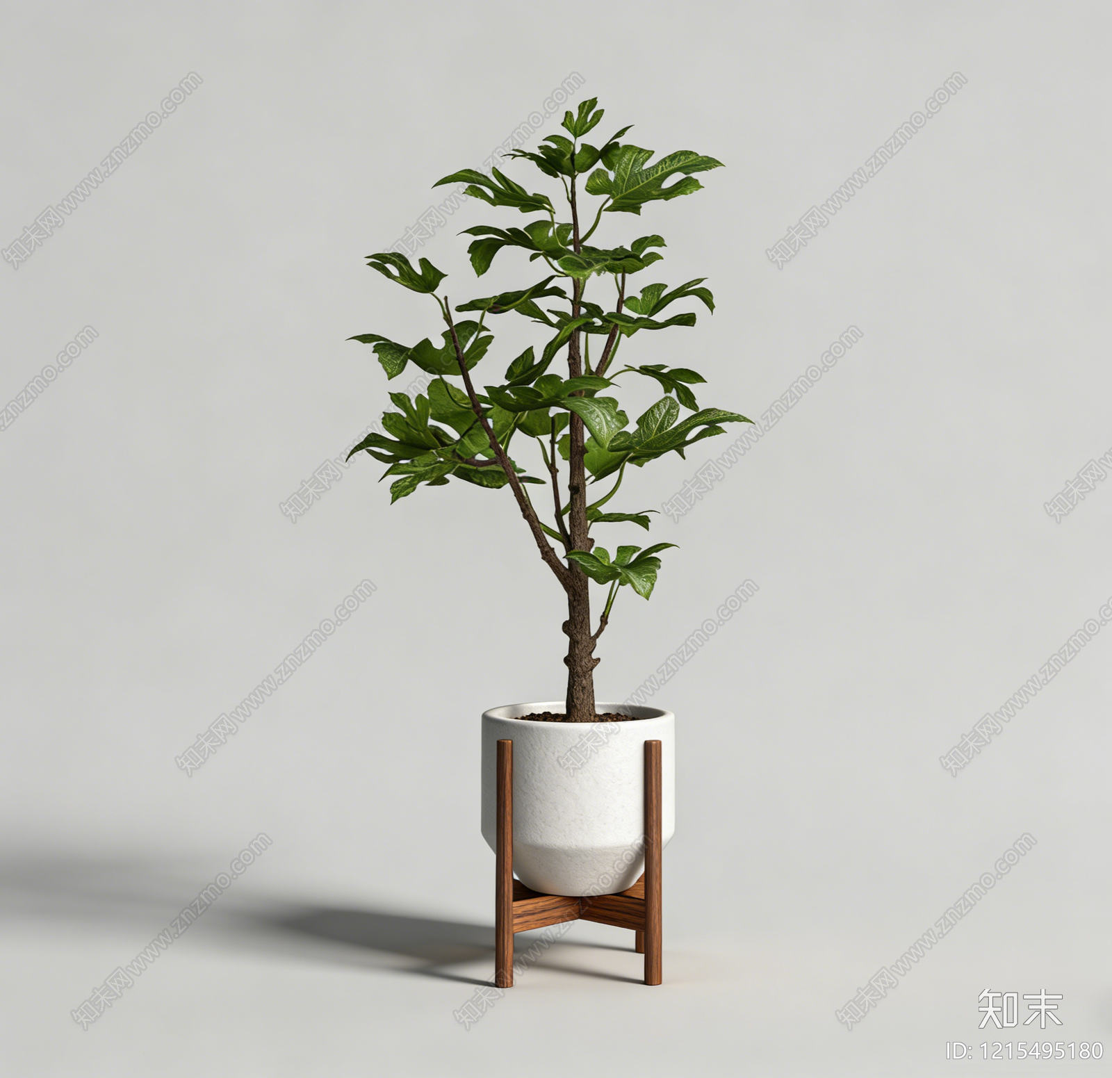 现代简约盆栽SU模型下载【ID:1215495180】