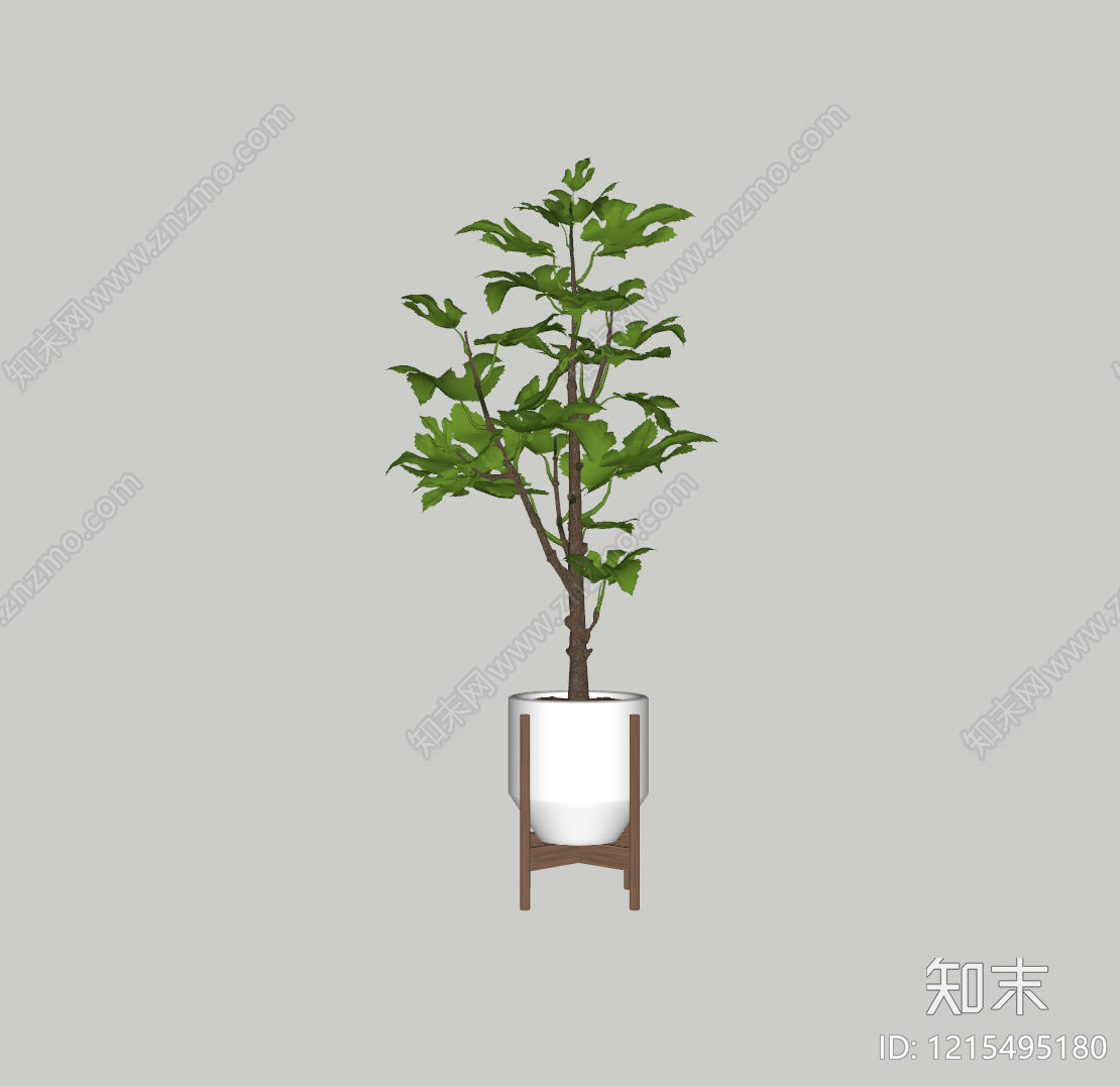 现代简约盆栽SU模型下载【ID:1215495180】