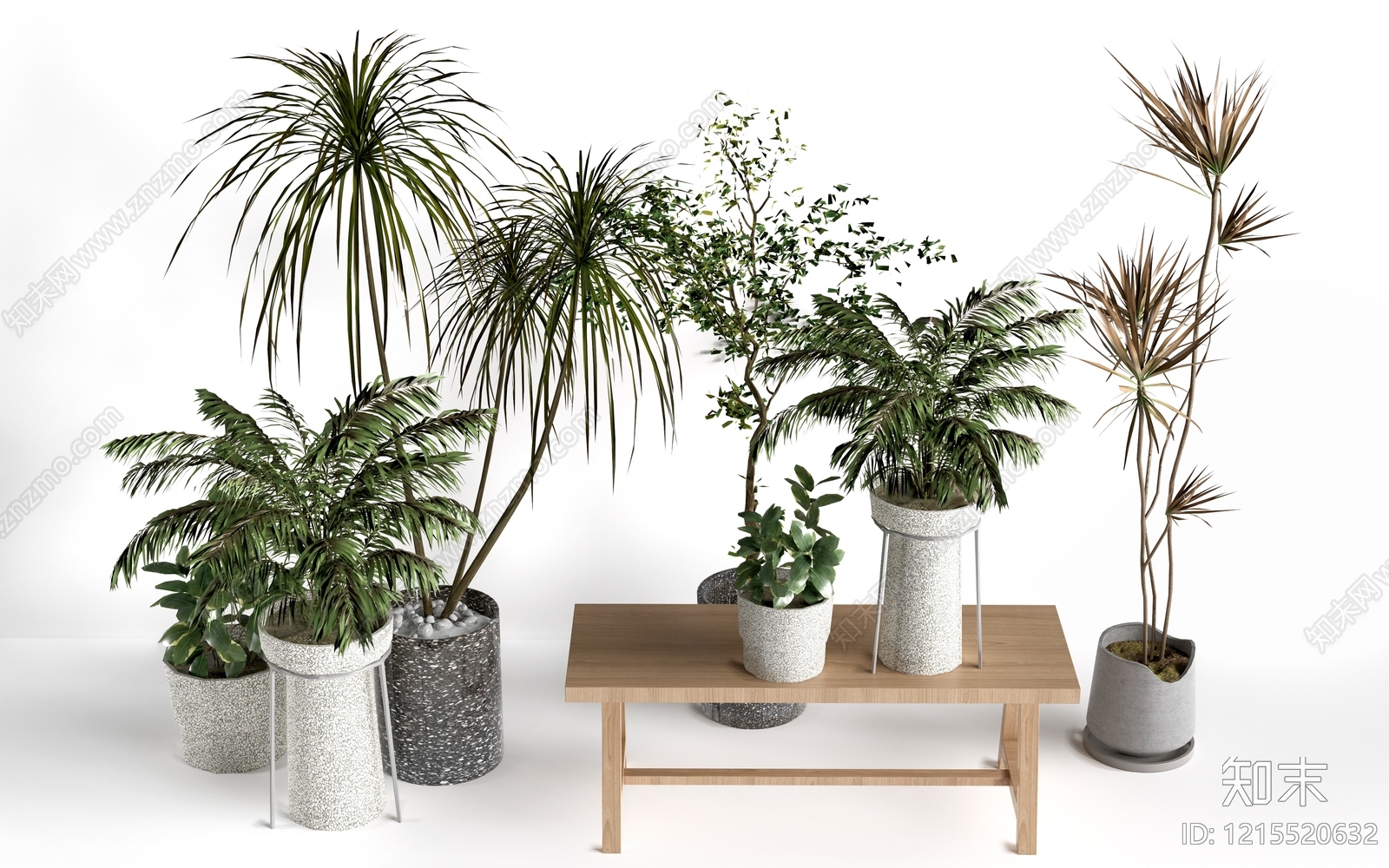 现代简约植物组合SU模型下载【ID:1215520632】