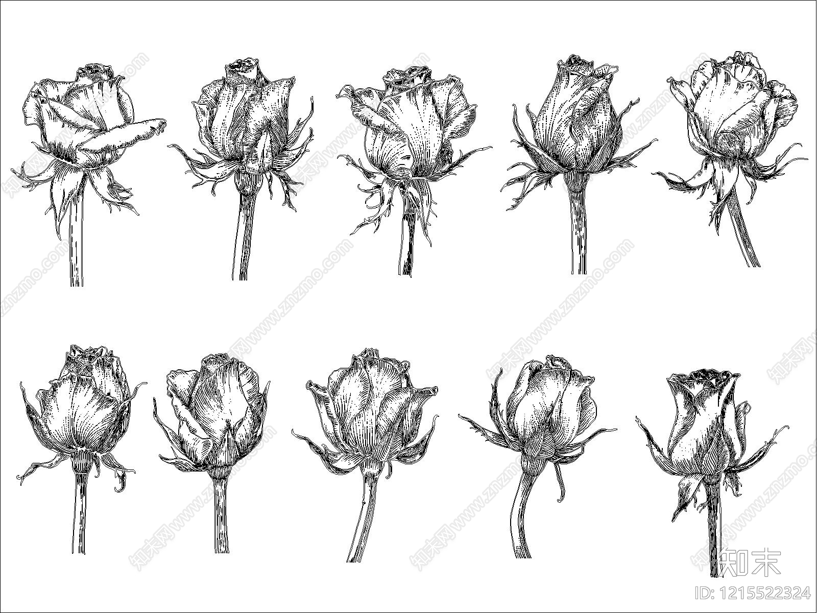 现代花cad施工图下载【ID:1215522324】
