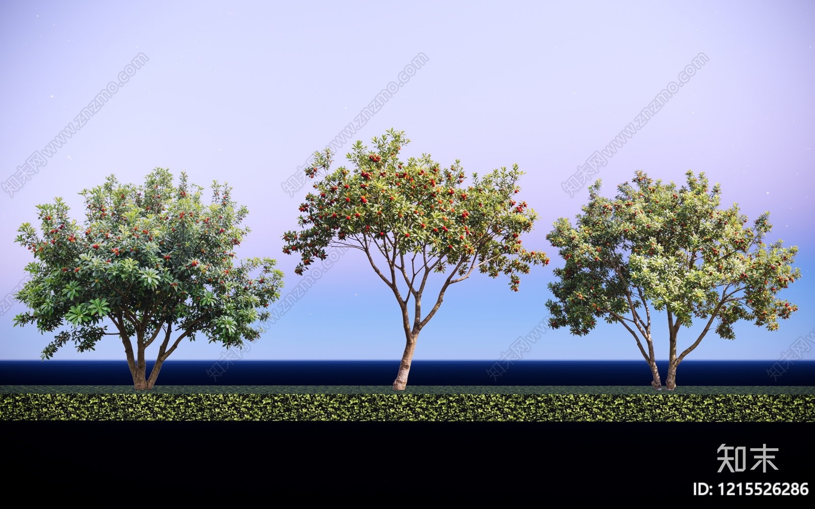 现代主义景观乔木SU模型下载【ID:1215526286】