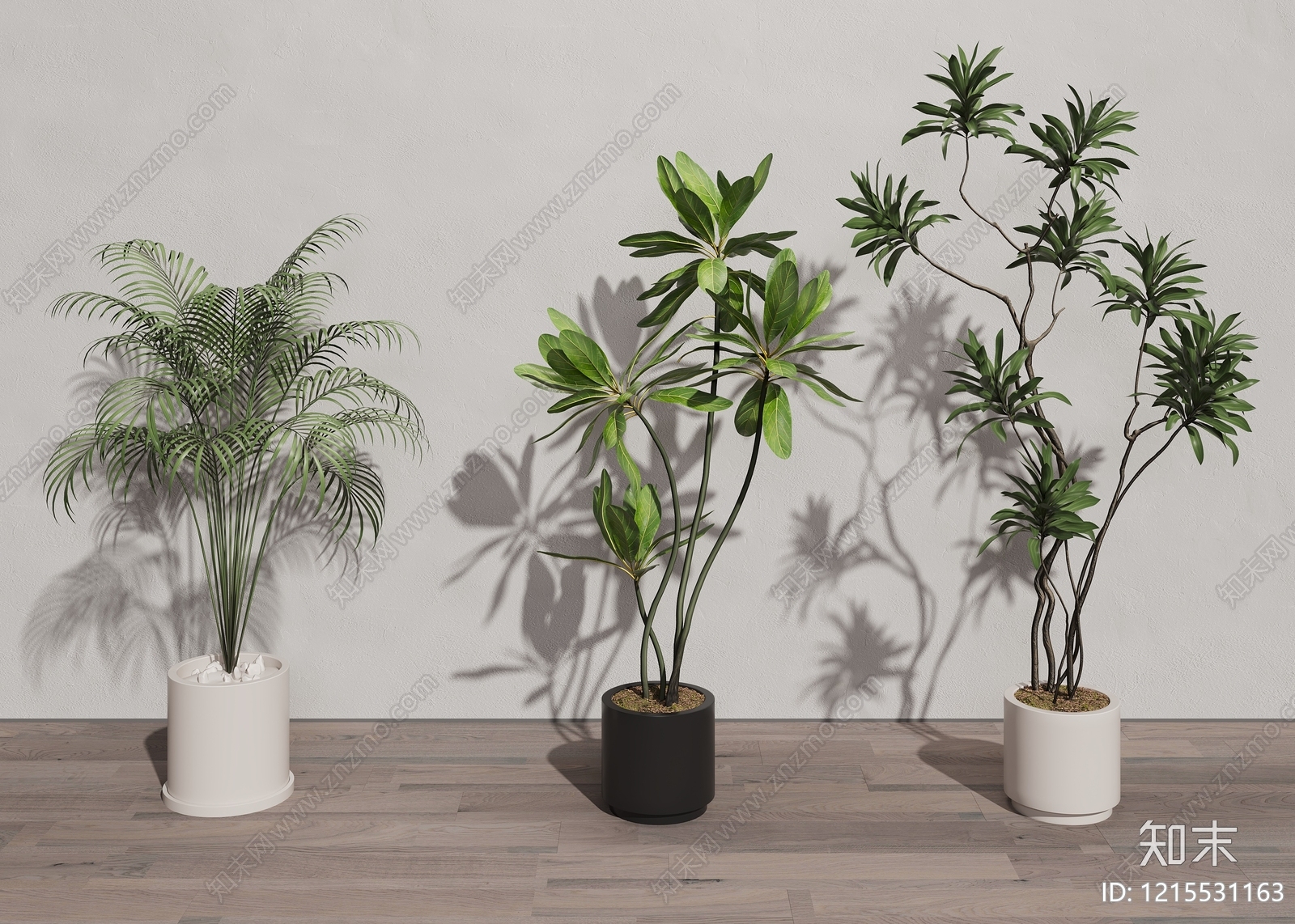 现代简约盆栽3D模型下载【ID:1215531163】