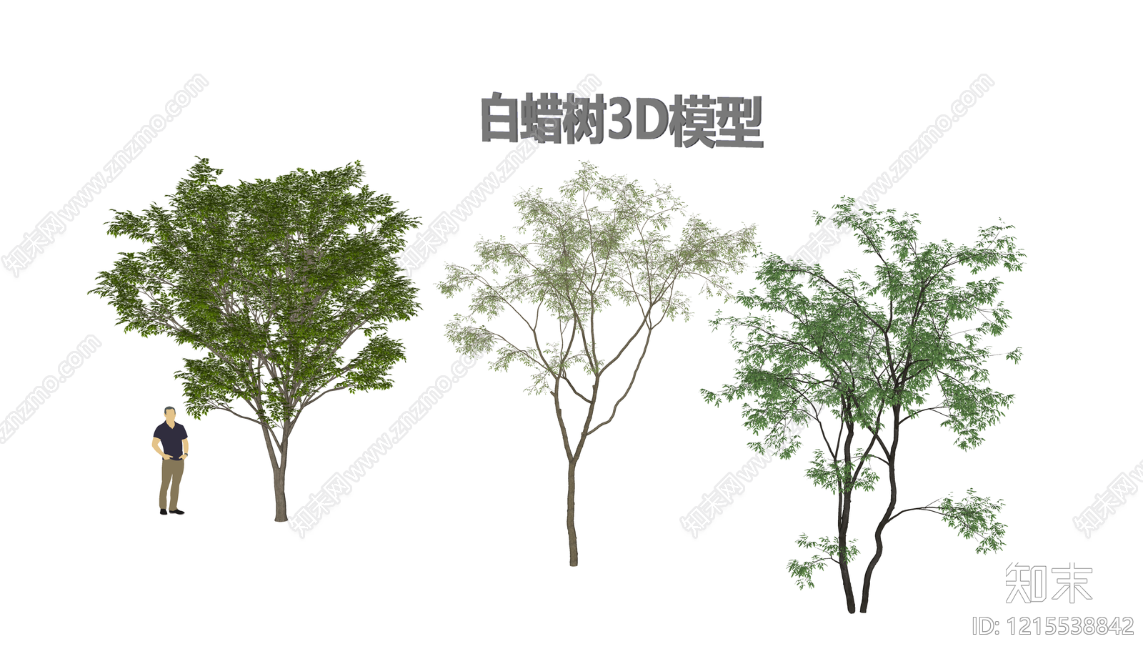 现代主义乔木SU模型下载【ID:1215538842】