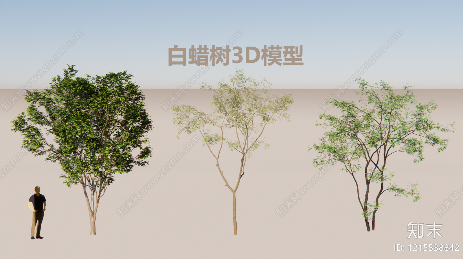 现代主义乔木SU模型下载【ID:1215538842】