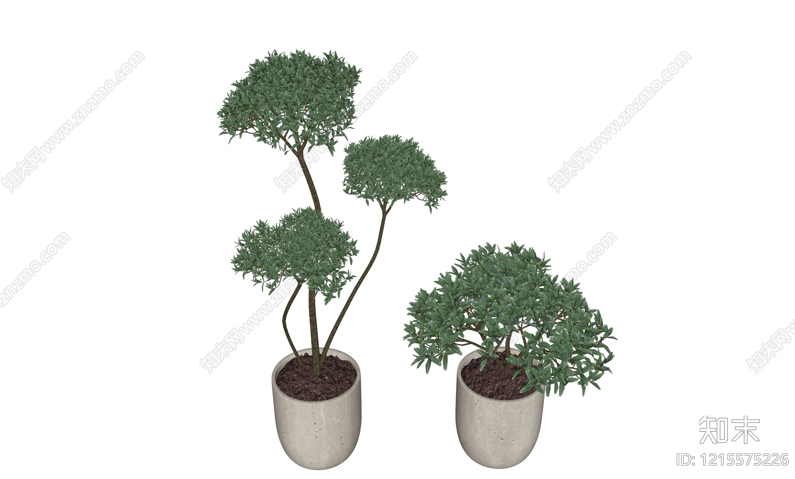 现代盆栽植物摆件SU模型下载【ID:1215575226】