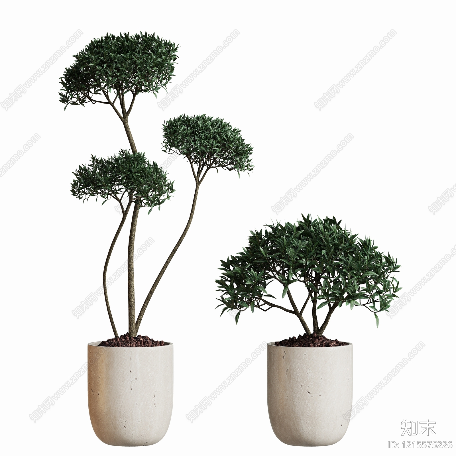 现代盆栽植物摆件SU模型下载【ID:1215575226】