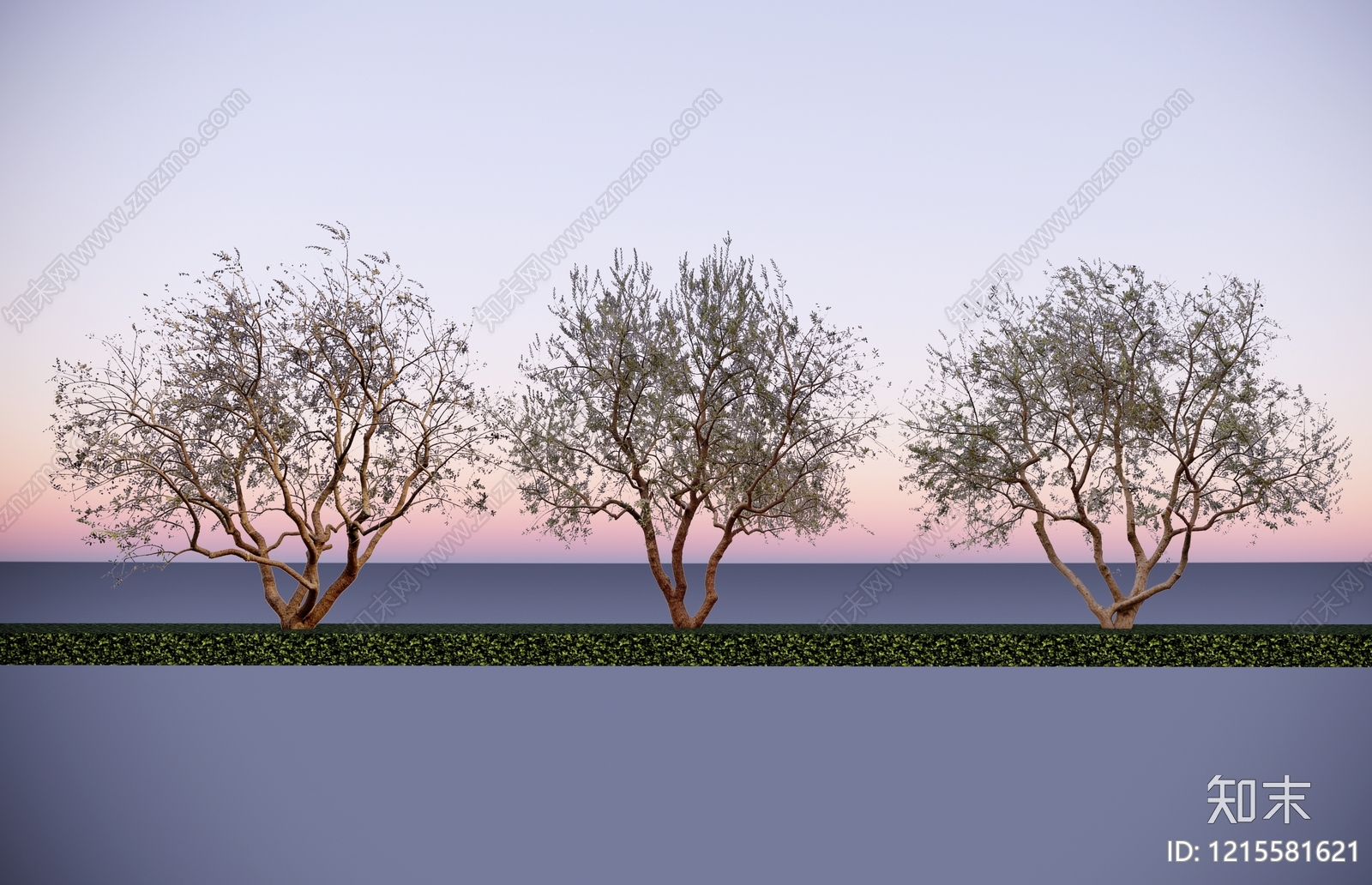 2D橄榄树SU模型下载【ID:1215581621】