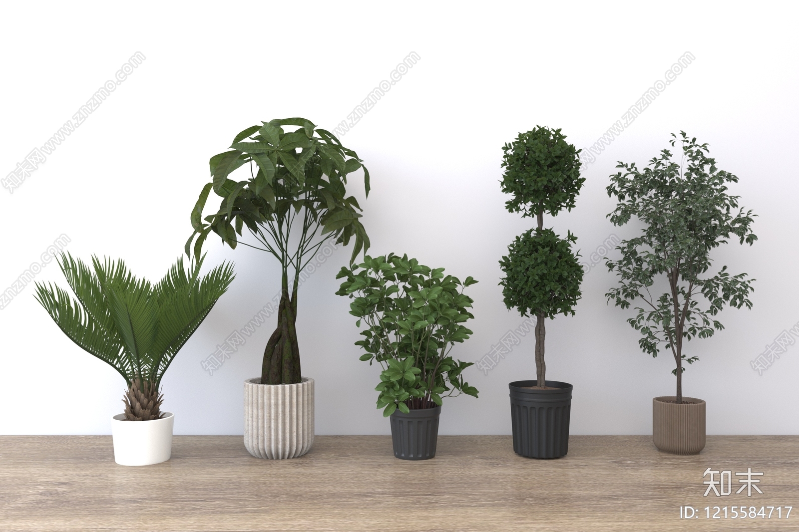 现代简约盆栽3D模型下载【ID:1215584717】