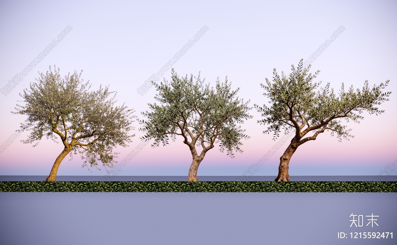 2D橄榄树SU模型下载【ID:1215592471】