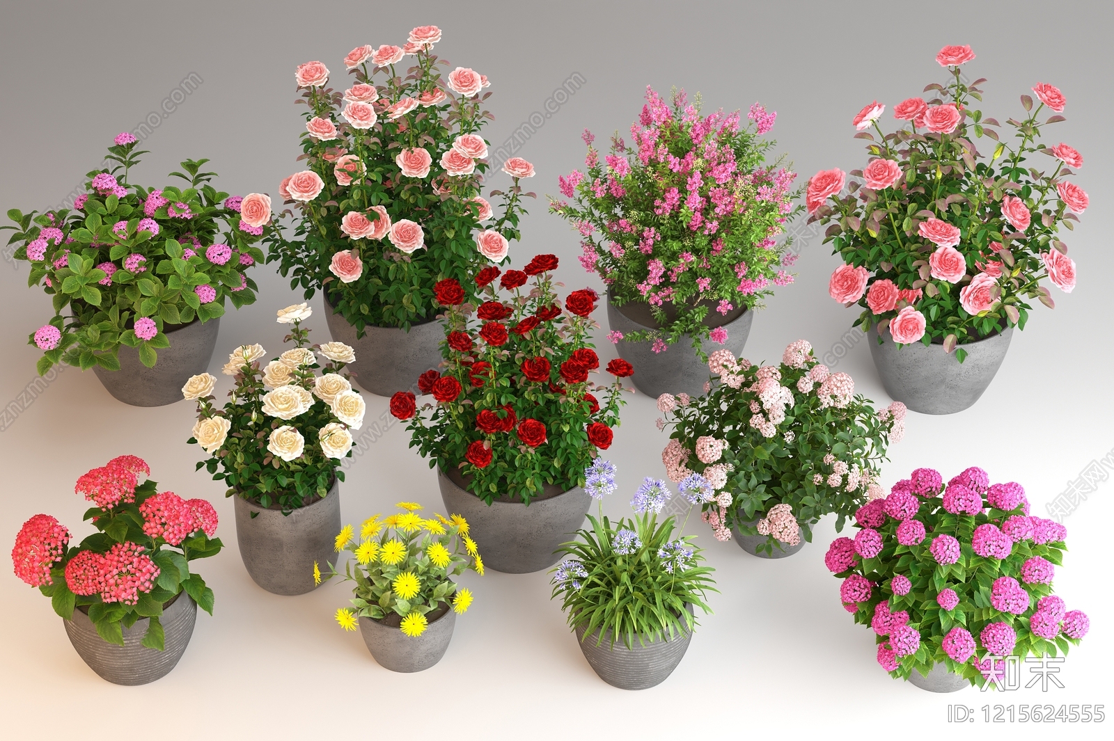 现代简约盆栽3D模型下载【ID:1215624555】