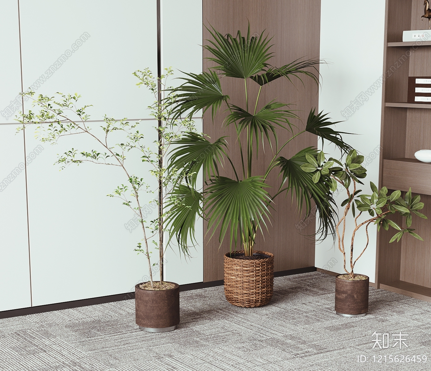 现代简约盆栽3D模型下载【ID:1215626459】