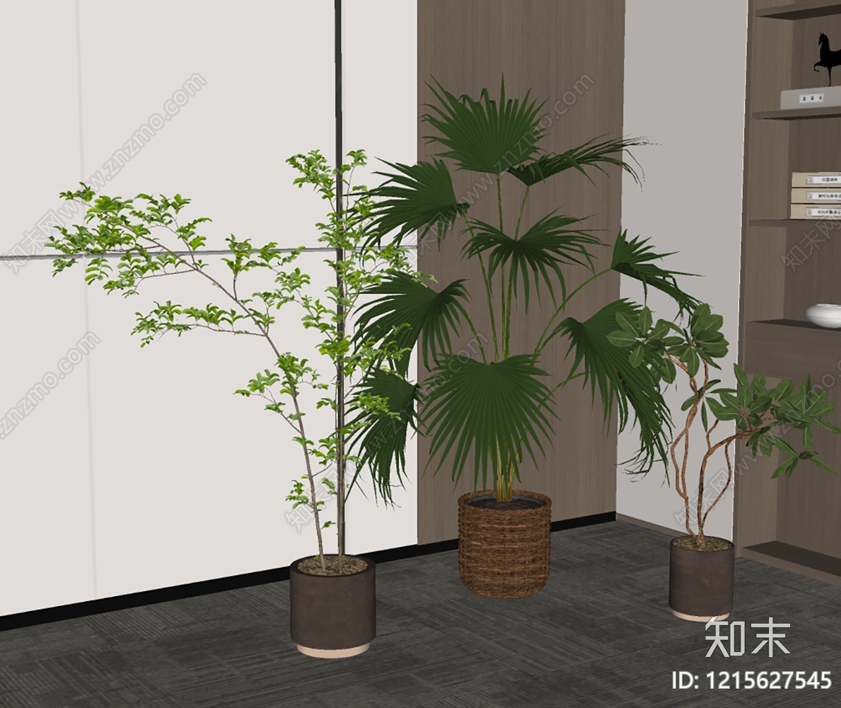 现代简约盆栽SU模型下载【ID:1215627545】