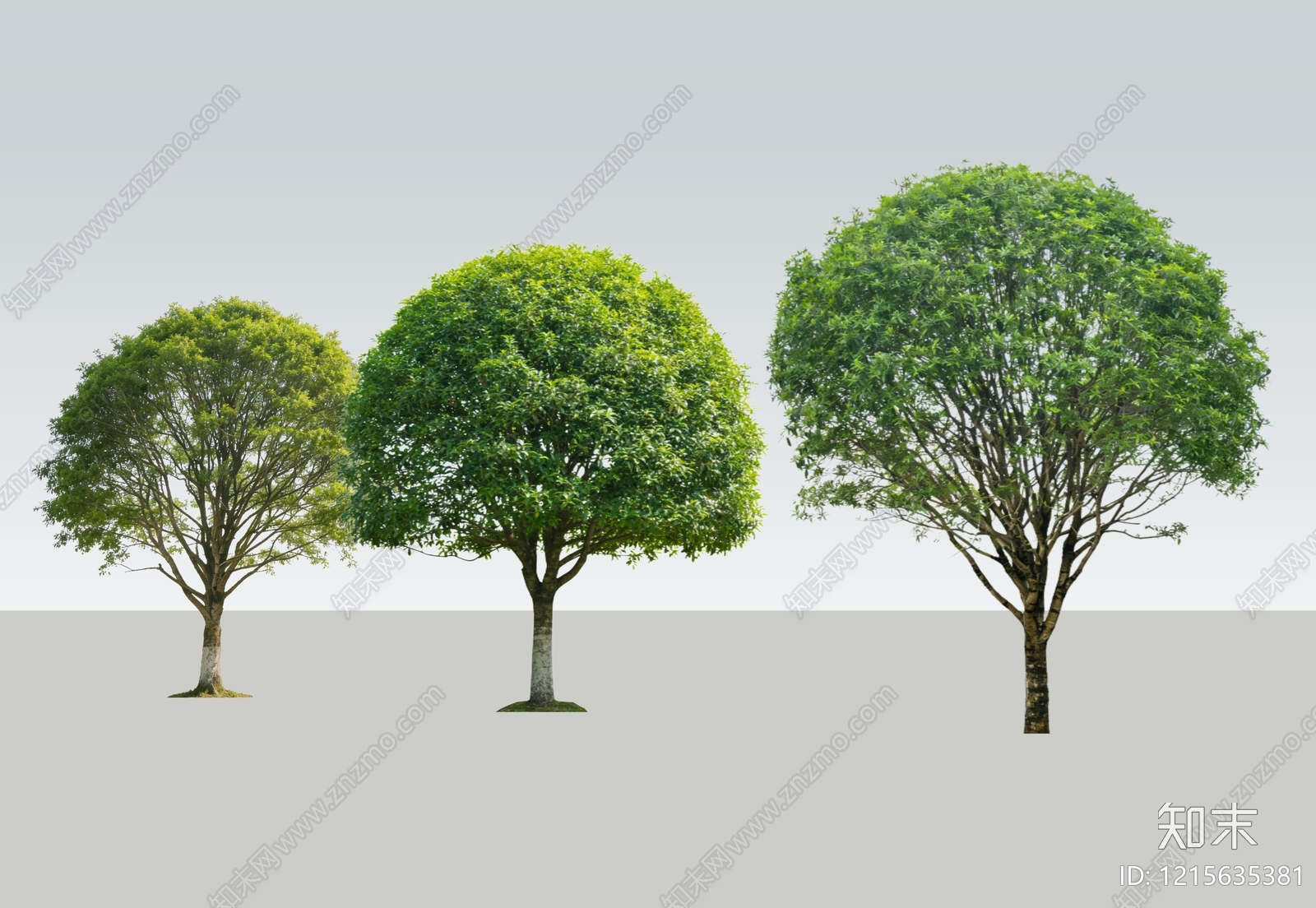 极简主义乔木SU模型下载【ID:1215635381】