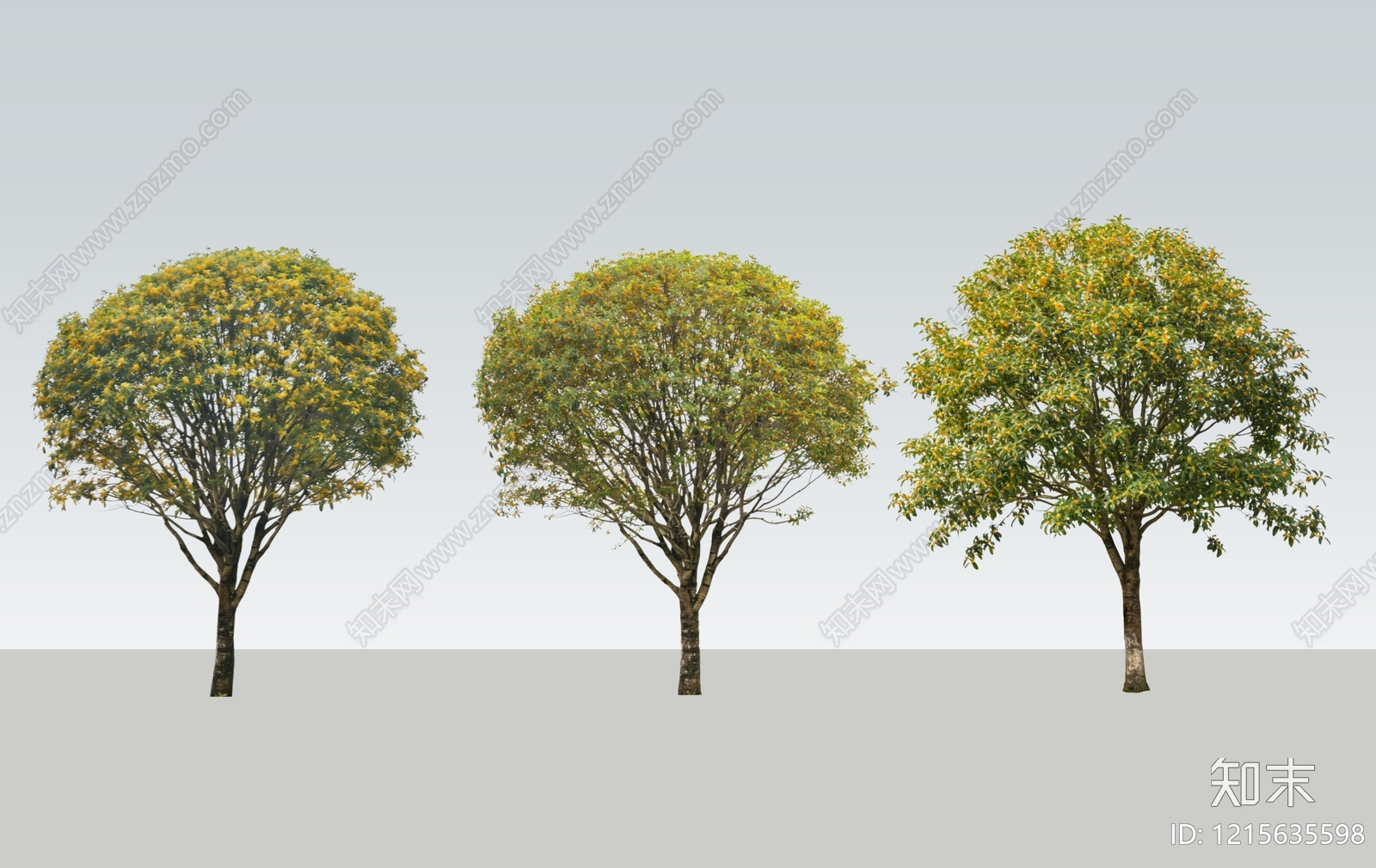 现代景观乔木SU模型下载【ID:1215635598】