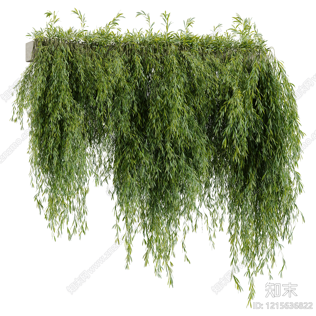 垂挂绿植景观垂直绿化3D模型渲染效果图