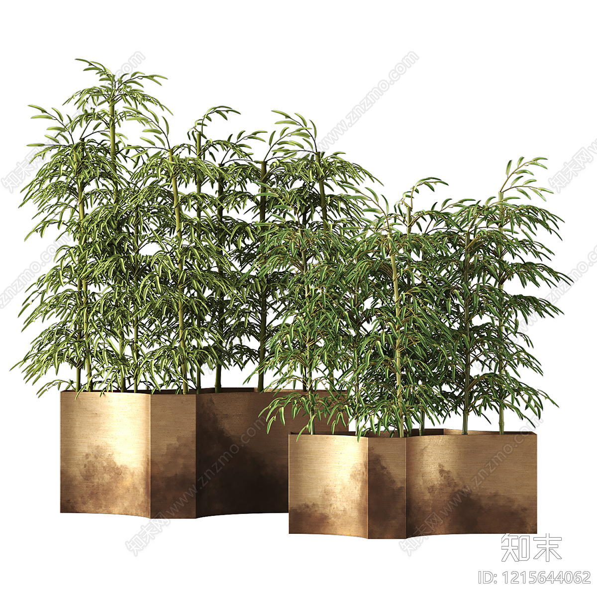 新中式竹子3D模型渲染效果图
