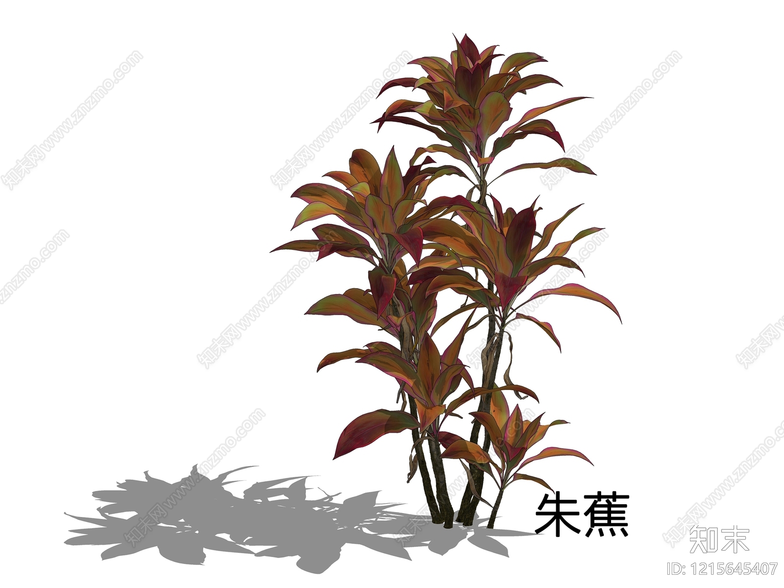 现代简约灌木SU模型下载【ID:1215645407】