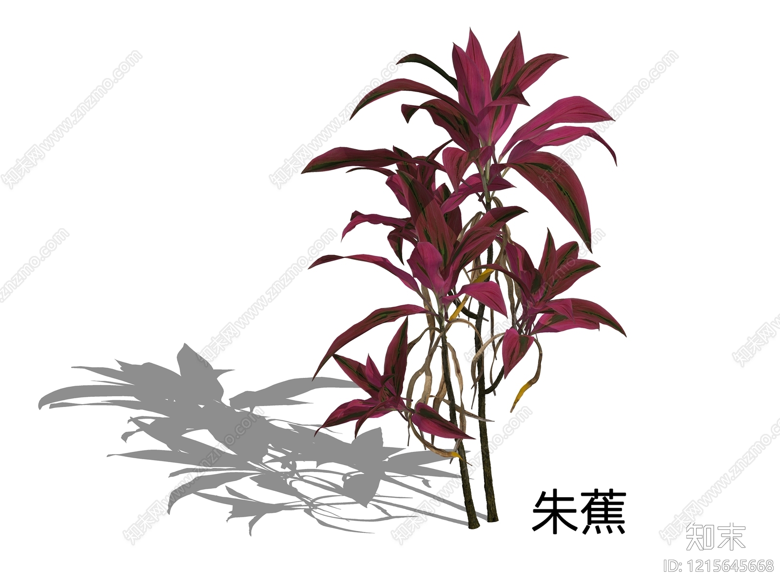 现代简约灌木SU模型下载【ID:1215645668】