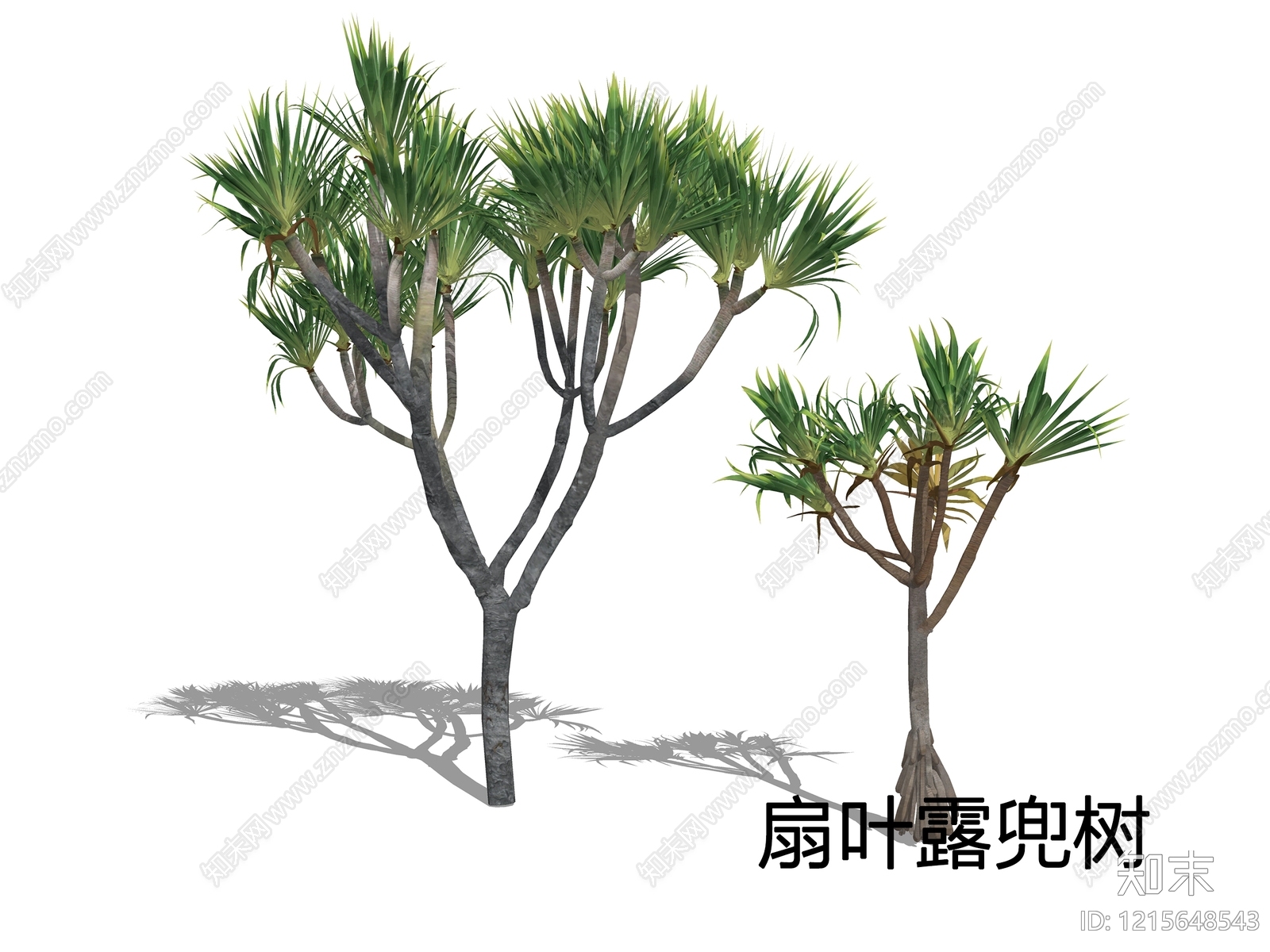 热带植物景观乔木SU模型下载【ID:1215648543】