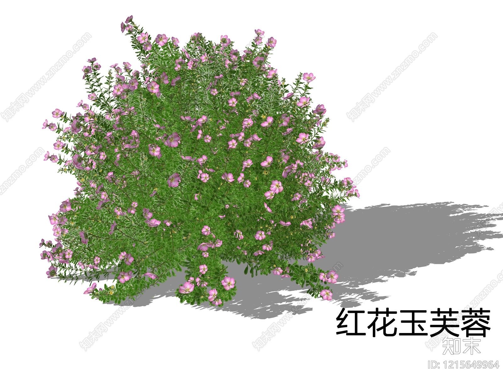 新中式景观灌木SU模型下载【ID:1215649964】