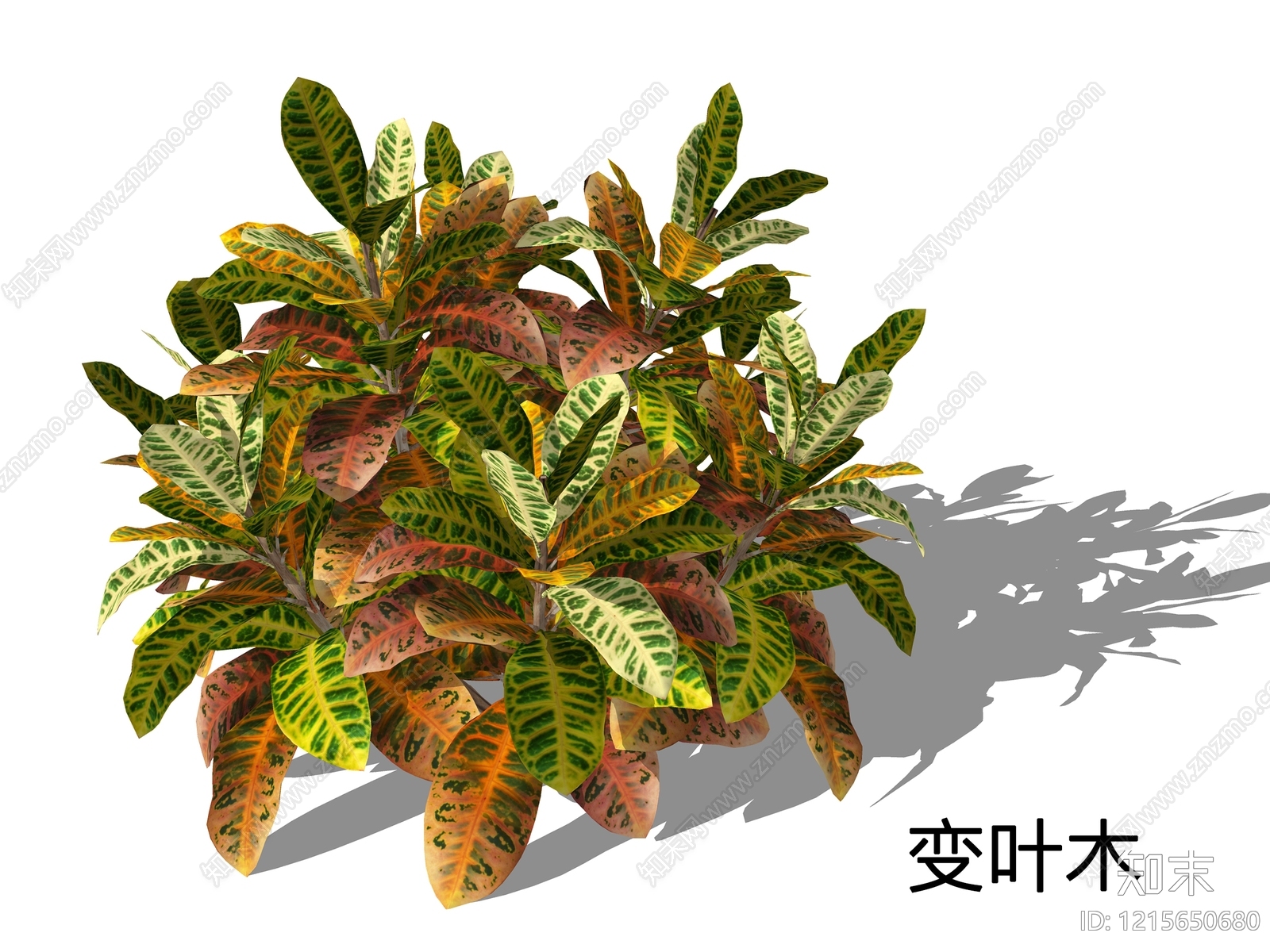 热带植物风格灌木SU模型下载【ID:1215650680】