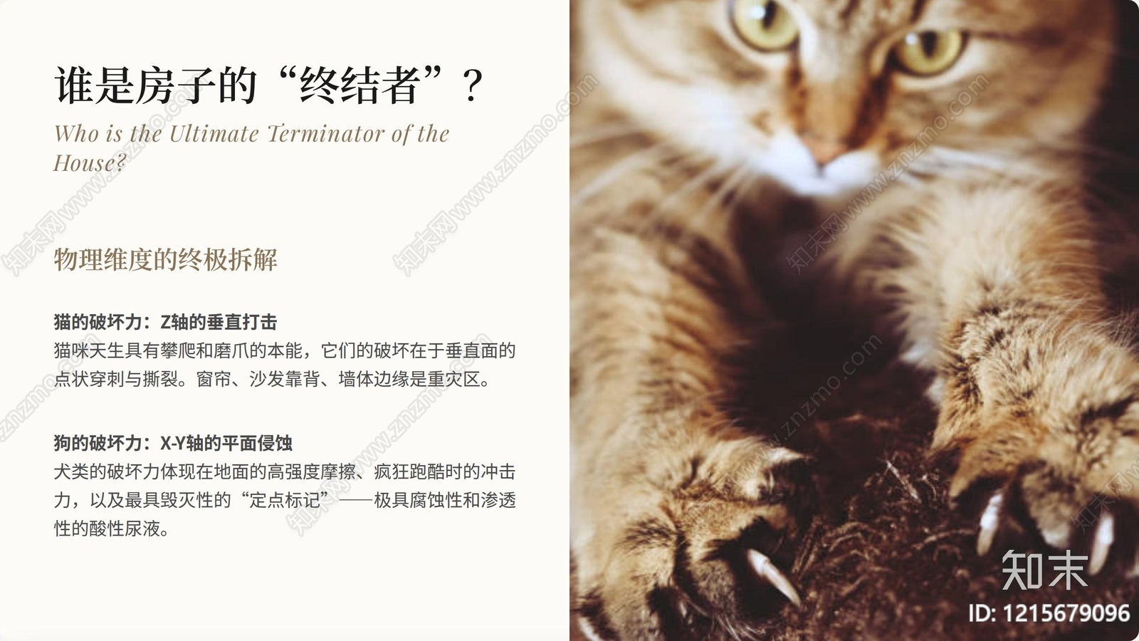 其他专项设计下载【ID:1215679096】