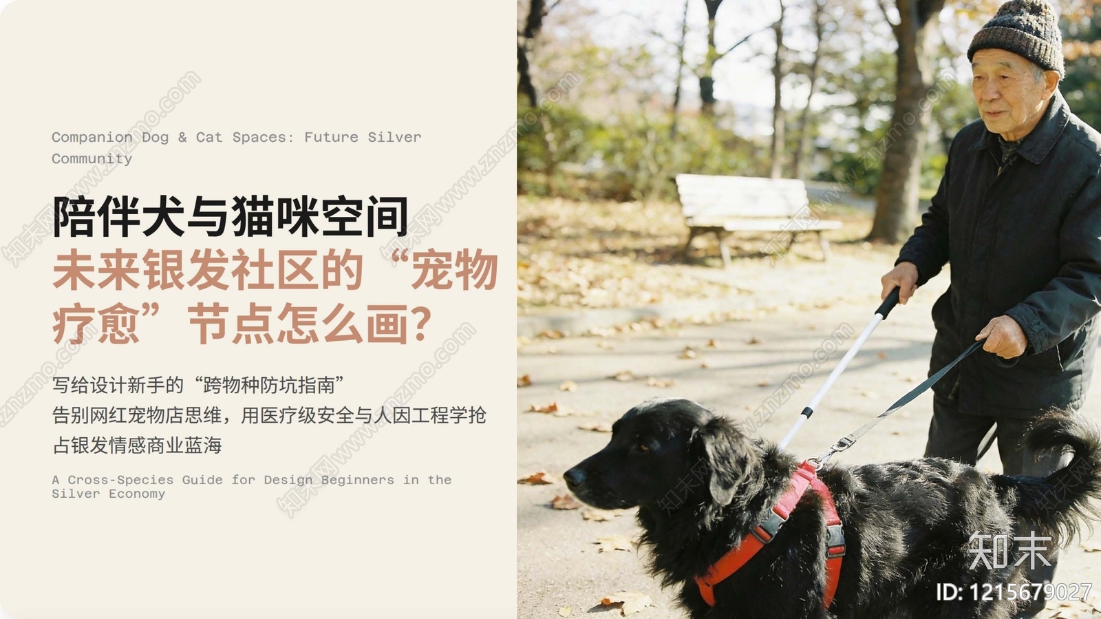 适老化设计下载【ID:1215679027】