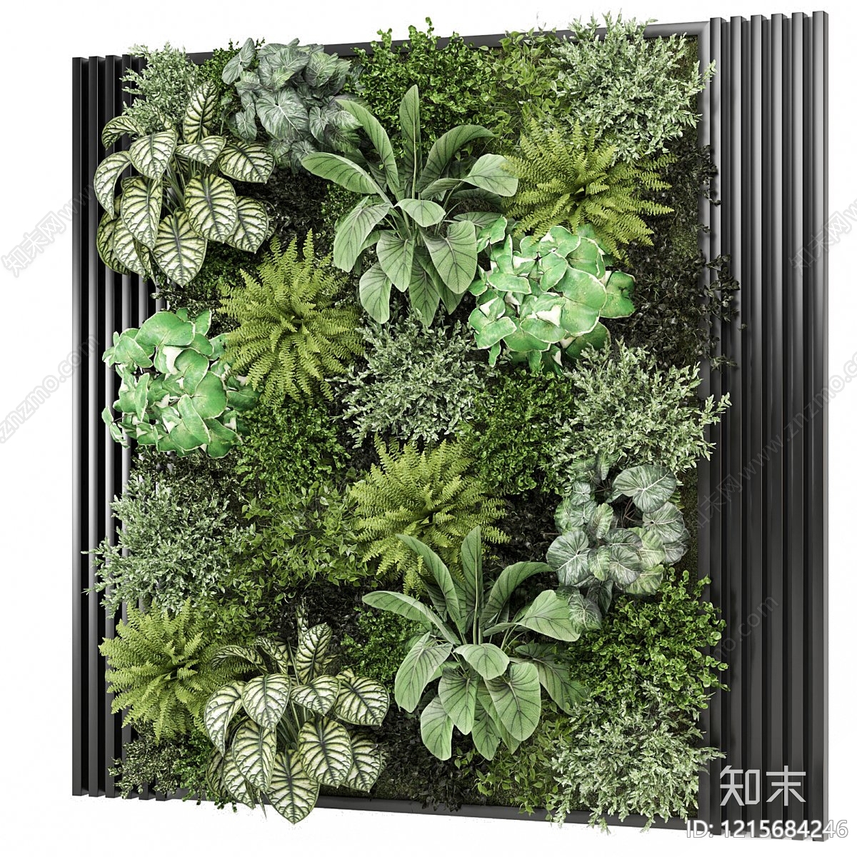 垂直绿化垂直绿化3D模型下载【ID:1215684246】