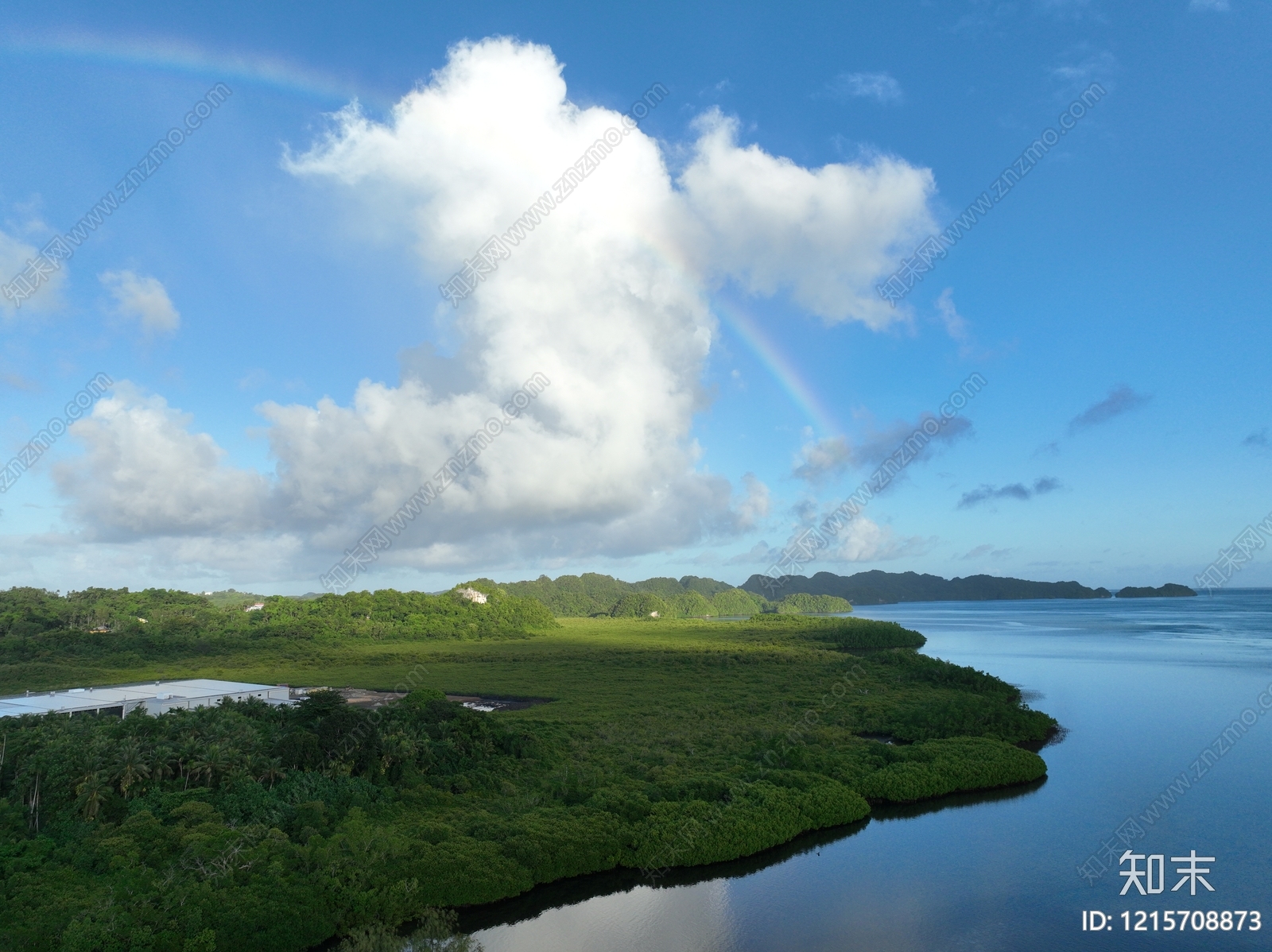 植被贴图下载【ID:1215708873】