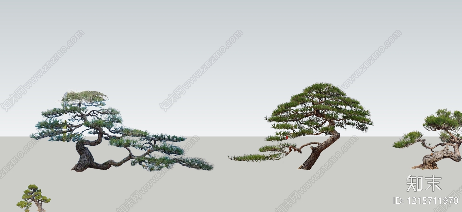 新中式景观乔木SU模型下载【ID:1215711970】