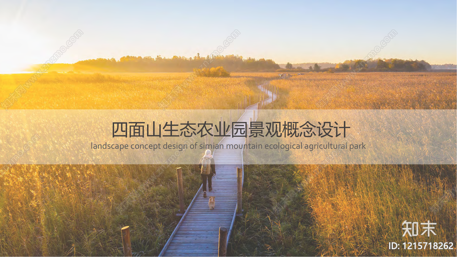 现代美丽乡村规划下载【ID:1215718262】