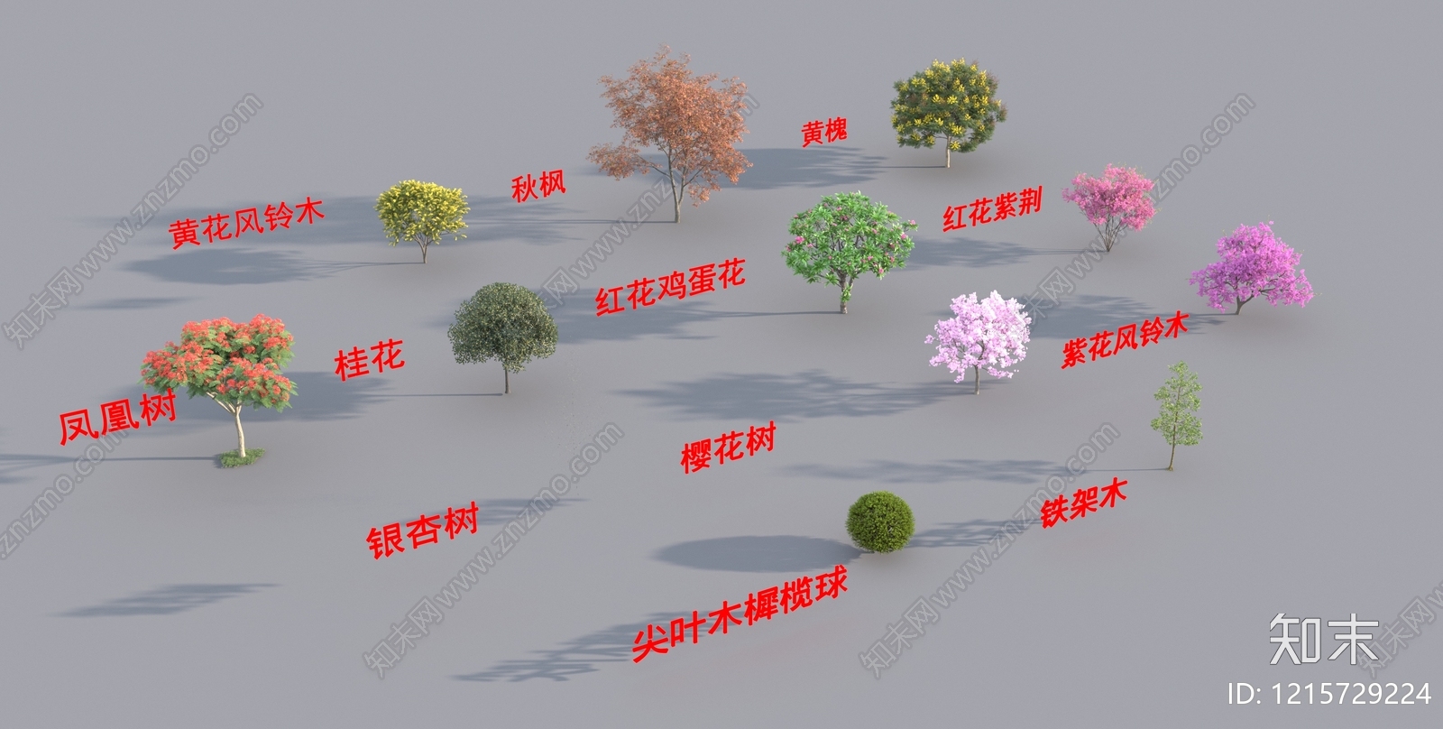 现代主义景观景观树3D模型下载【ID:1215729224】