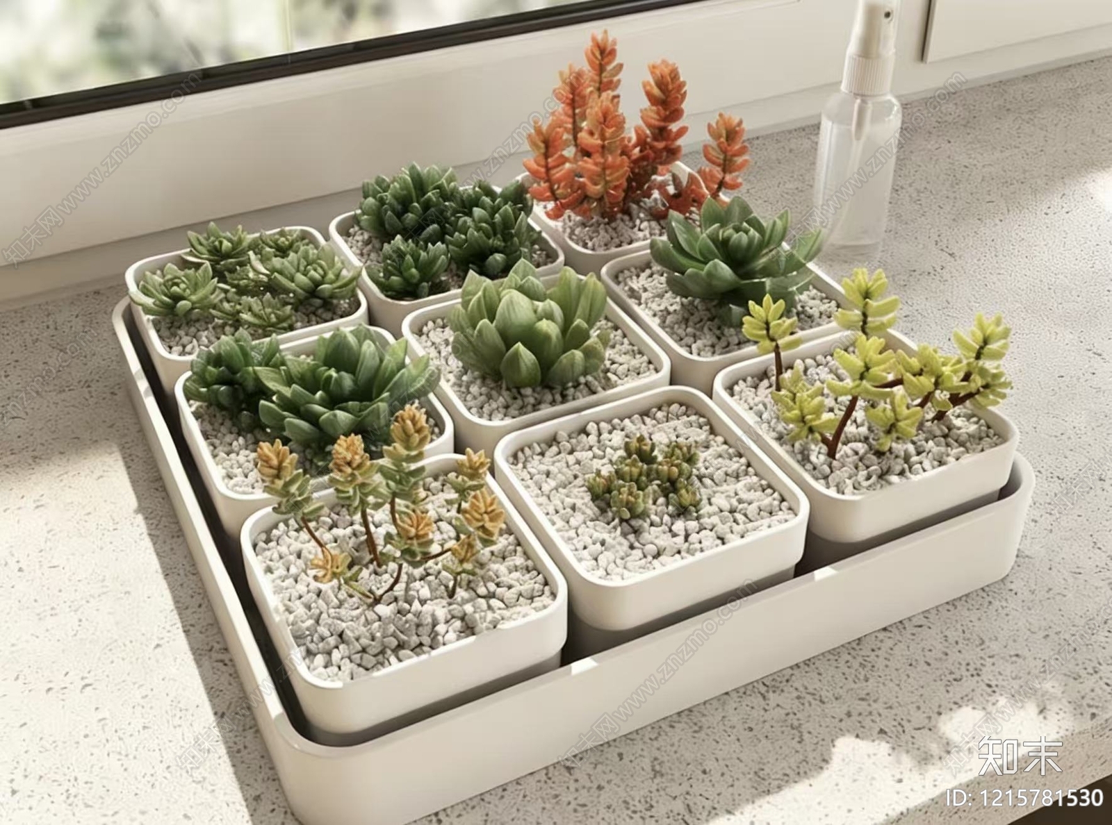 现代简约盆栽3D模型下载【ID:1215781530】